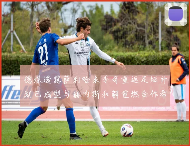 德媒透露萨利哈米季奇重返足坛计划已成型与赫内斯和解重燃合作希望